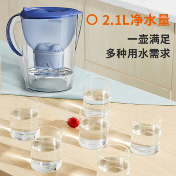 九阳（Joyoung）过滤净水器 家用滤水壶 净水壶（一壶13芯 ） 3.5L 四重过滤 智能换芯提醒 B05E