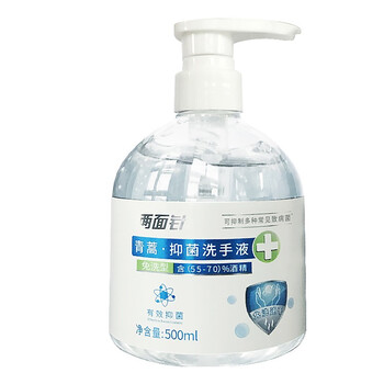 爱柯布洛 按压式免洗洗手液 500ml大容量速干洗手液免洗洗手液公共企业公司幼儿园学生