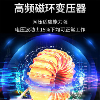 瑞凌电焊机家用220v小型便携式小钢炮MMA200E焊机