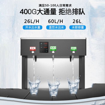 希力（XILI WATER）商用净水器26L一开两直饮 大型净水设备3KW可供50-100人 XL-ZYJ-3W265-1 定制