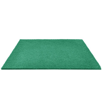 兰诗（LAUTEE）LS-2102 酒店宾馆防滑蹭土商用拉丝地垫 门垫入户垫 绿色1.2米宽*1米长