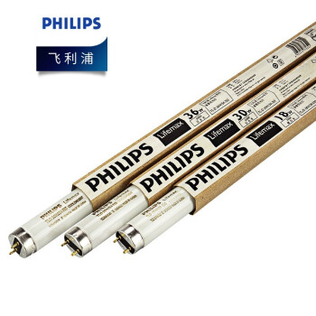 飞利浦（PHILIPS）照明企业客户 TLD T8普通荧光灯灯管 18W 0.6米 18/54-765 白光 6200K 整箱25支 