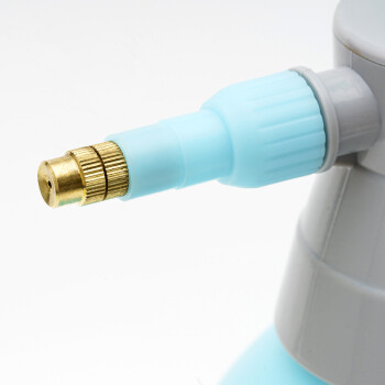 兰诗 FW1382 浇花洒水壶园艺小喷壶气压式喷雾瓶加厚喷水壶 2L松绿色
