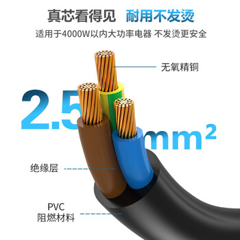 同为（TOWE）PDU/服务器G16转C19电源转换延长线2.5平方 TW-F-25G16/C19 1M