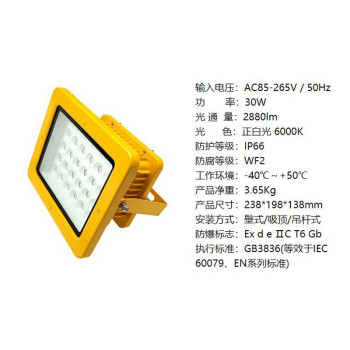 依客思（EKSFB）LED防爆投光灯 EKS97-N 白光 30W（壁式/吸顶式/吊杆式）