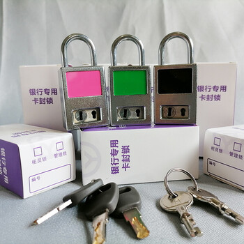 飞尔（FLYER）柜员锁管理锁 安全器具正面插封片【卡封锁 C90】