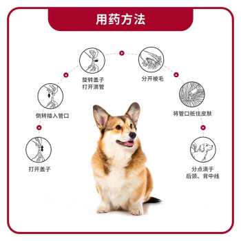 拜宠爽拜耳宠物驱虫药狗体外驱虫滴剂驱除狗狗寄生虫除跳蚤蜱虫中小型犬用德国进口4~10kg犬用4支装