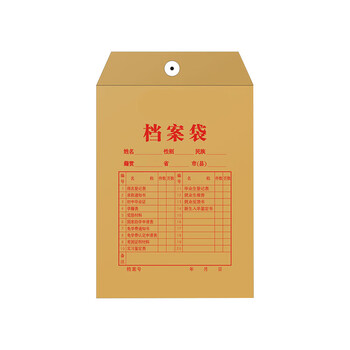 飞尔（FLYER） A4牛皮纸档案袋/200g侧宽28mm加厚牛皮纸袋 10个/包 