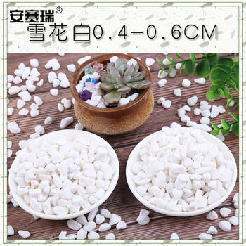 安赛瑞 白色石子（5kg）雪花白垃圾桶烟灰用鹅卵石多肉铺面水族箱鱼缸石石径0.4-0.6cm 500041