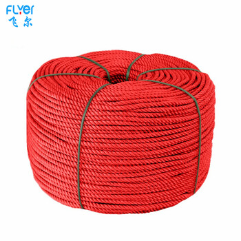 飞尔（FLYER）多功能尼龙绳 户外搭建高强度韧性扎捆绳【红色 8mm 一卷100米】