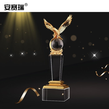 安赛瑞 展示牌定制 企业优秀员工表彰 运动会创意纪念标识  比赛颁奖礼品 水晶奖杯 精英世界28cm 701129
