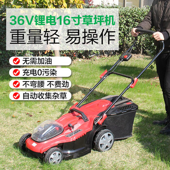 奥晟机械（AOSHENG）36V锂电草坪机 电动割草机打草机物业足球场草地推草机 充电式手推式除草机剪草机 16寸