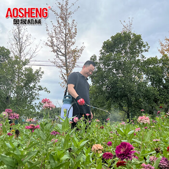 奥晟机械（AOSHENG）5升电动喷雾器酒精消毒农用品农药喷雾机打药壶园艺浇花喷壶锂电背负式打药机5L