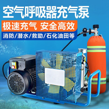 普达 消防救援正压式空气呼吸器充气泵30Mpa高压打气机潜水气瓶 RZ-X100L充气泵(220V）
