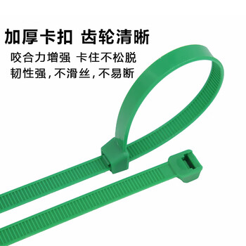 飞尔（FLYER）绿色尼龙扎带 主机装机 园艺线缆 桌面理线束线捆扎绑带【国标 250×7.6mm 100条】
