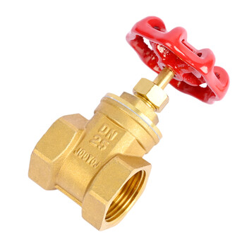 匡建仪表（CONJANT）铜截止阀 加厚黄铜 硬密封低进高出饱和蒸汽高温高压自来水阀门单向截门 DN25 