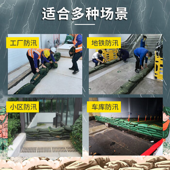 锐护 防汛专用沙袋 消防应急物业挡水抗洪专用帆布袋吸水膨胀袋沙包（不含沙）30*70CM抽绳标准款 10条装
