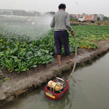 锐尔 船式喷灌机燃油农用水泵抽水机1.5寸自吸漂浮手提式浇溉浇地淋菜机	 锐尔44-5两冲程（配3米水管） 