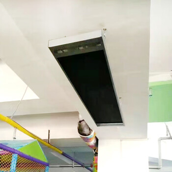  暖特莱 电热幕远红外高温辐射板热风幕电取暖器1000W/220V