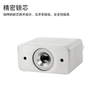 飞尔（FLYER）304不锈钢叶片挂锁 户外防水防锈安全挂锁 柜门防盗工具锁【30mm长梁不通开 带钥匙】