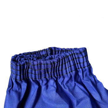 安美尚（ams）劳保袖套 兰色10双装 （可定制）