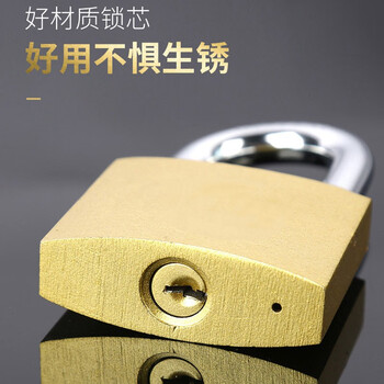 驼铃纵横 AQQJ0008 仿铜挂锁防盗锁防锈防水门锁锁头小锁子柜子抽屉箱锁 38#一字