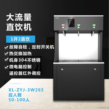 希力（XILI WATER）商用净水器26L一开两直饮 大型净水设备3KW可供50-100人 XL-ZYJ-3W265-1 定制