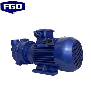 FGO 水环式真空泵 丝扣螺纹 普通电机2BV-2071铸铁整机+不锈钢叶轮3.85kw-2
