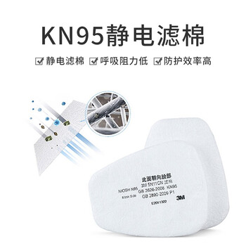 3M 6502QL*1+6005*2+501*2+5N11*10防护十五件套KN95一套装DKH