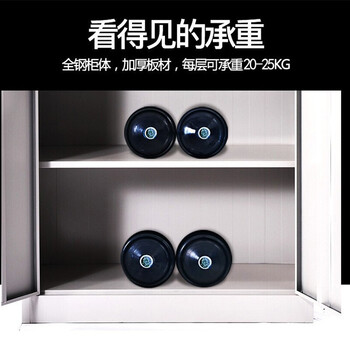 链工 钢制铁皮柜文件柜资料柜带锁档案柜储物柜财务室票据凭证柜中二斗器械（加厚款）
