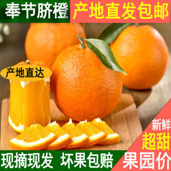 奉节脐橙大果 橙5斤净重(奉节发货超甜多汁)