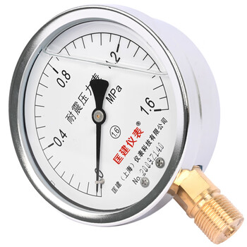 匡建仪表（CONJANT）YTN-100耐震压力表 径向 水压表油压表气压表 表盘直径100mm 充油压力表 0-1.6MPa