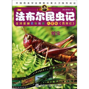 蝗虫-法布尔昆虫记法布尔中国大百科全书出版社9787500086994 童书