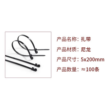 飞尔（FLYER）尼龙固定头扎带 螺丝圆孔固定头式束线带【5×200mm 孔径6.3mm 100条】