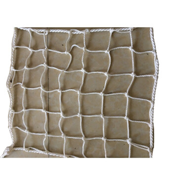 安惠（ANHUI）尼龙阻燃安全网 4m×6m，网孔：8cm×8cm 1张定做