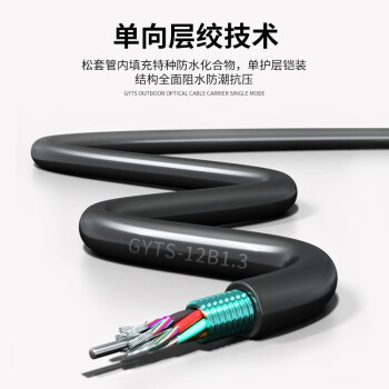 千天（Qantop）12芯铠装光缆 电信级室外GYTS单模层绞式直埋光纤线 100米 QT-GYTS-12B1.3-100