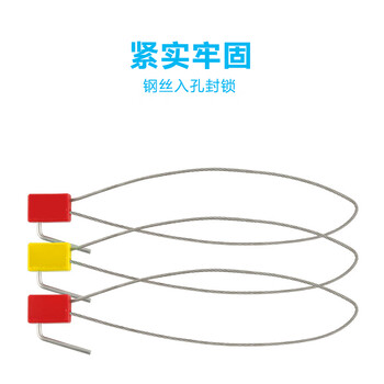 飞尔（FLYER）带编号一次性钢丝铅封 抽紧式钢丝封条 水电表集装箱封签100条【22×16mm】