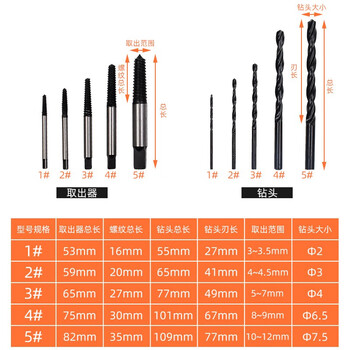 保拉(Paola) 断头螺丝取出器11件套3-10MM 滑牙破损螺丝取出拆除工具组套2115