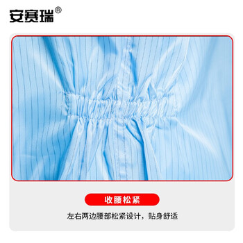 安赛瑞 连体服（不含脚套）XL 蓝色 适合身高170-175cm 导电纤维连体工作服 10955