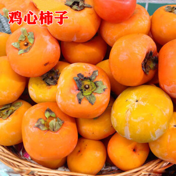 鸡心柿子嫁接4年苗(当年结果)
