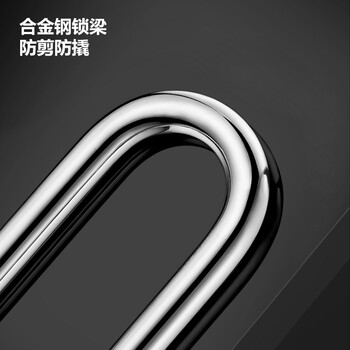 飞尔（FLYER）仿不锈钢叶片锁 户外防水防锈防盗挂锁机箱锁柜门锁【30mm长梁 通开配1个钥匙】10把装