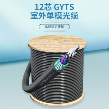 千天（Qantop）12芯铠装光缆 电信级室外GYTS单模层绞式直埋光纤线 100米 QT-GYTS-12B1.3-100