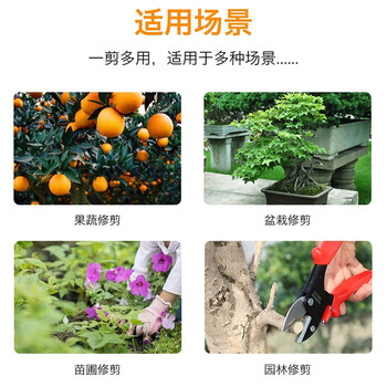 罗宾汉（RUBICON）园林修枝剪 RCZ-837 树枝剪枝剪果树剪园艺工具 整枝剪 194mm