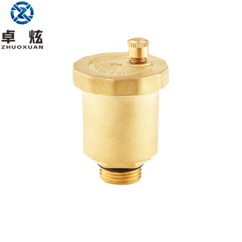 卓炫（ZHUOXUAN）TY-09 黄铜排气阀 直排式自动放气阀 黄铜排气阀门 DN10(5个)