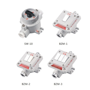 依客思（EKSFB）防爆照明开关 防爆按键开关 BZM-2（双联）IP54 10A 