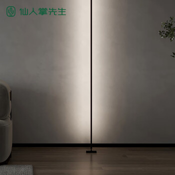 仙人掌先生天际线LED钢带线性线条灯极简明装9.5W3000K8米