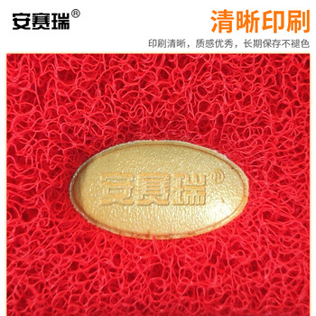 安赛瑞 PVC丝圈防滑地垫  除尘脚垫 进门地垫（出入平安）55*85cm 12217