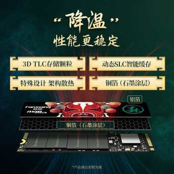 梵想（FANXIANG）1TB SSD固态硬盘 M.2接口NVMe协议 精选TLC颗粒 一体机台式机笔记本电脑AI PC存储配件 S500PRO