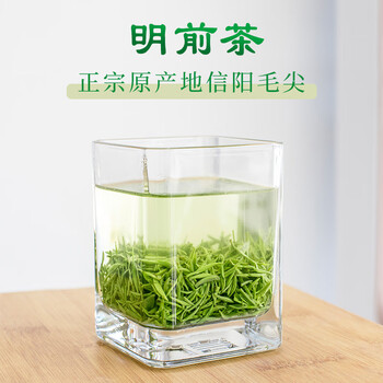 文新绿茶悟道信阳毛尖珍品240g2024年明前礼盒装新茶上市