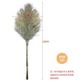 康丽雅 K-0085 竹柄大扫把 环卫竹扫把户外大号笤帚扫帚马路扫 竹柄5斤-5把装
